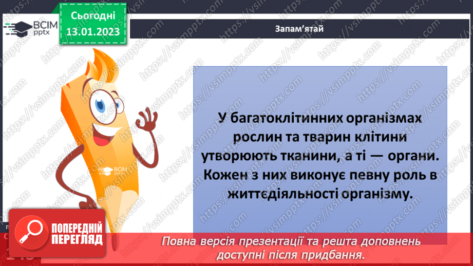 №38 - Організми та їх властивості. Методи дослідження організмів. Висівання і пророщування квасолі.23
