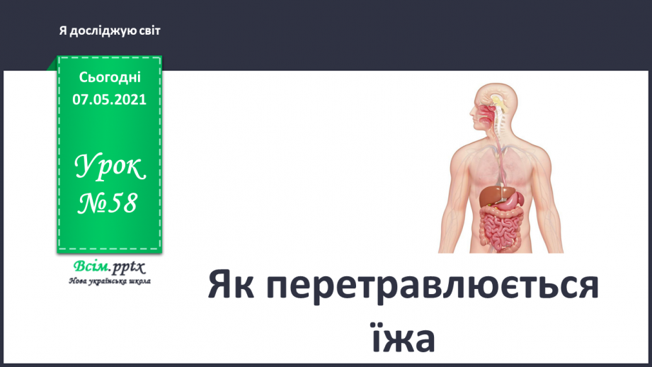 №058 - Як перетравлюється їжа0 №058 - Як перетравлюється їжа0