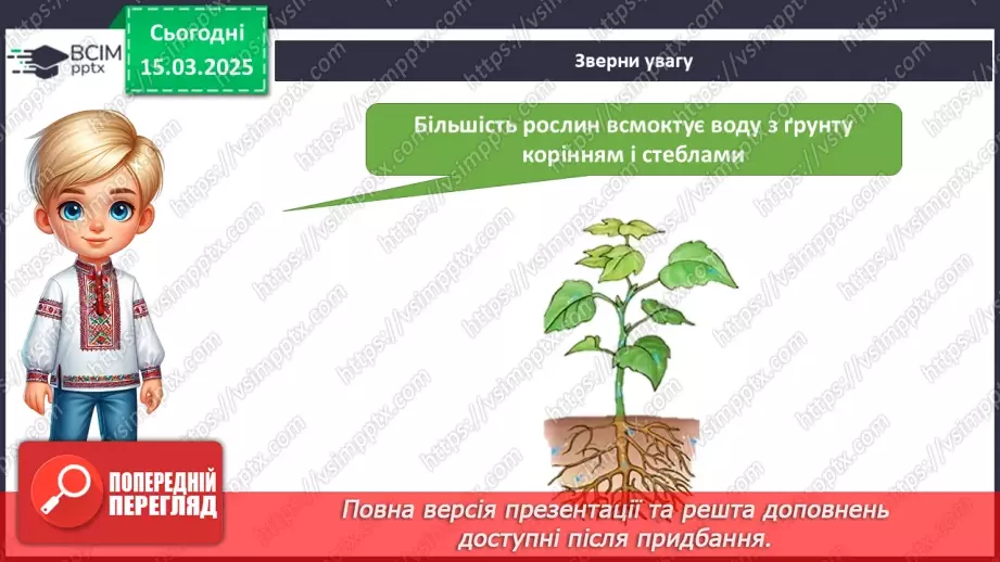 №081 - Досліди з рослинами.7 №081 - Досліди з рослинами.7