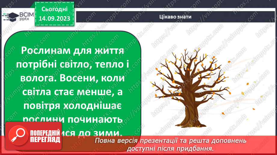 №010 - Рослини восени. Спостереження за особливостями сезонних змін у природі.19