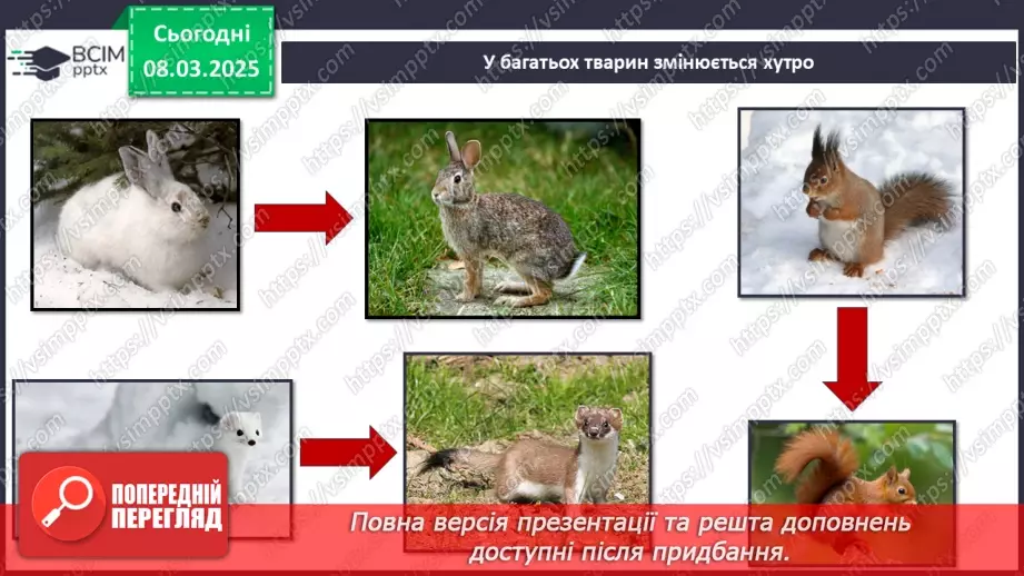 №0078 - Які зміни в житті звірів навесні6 №0078 - Які зміни в житті звірів навесні6