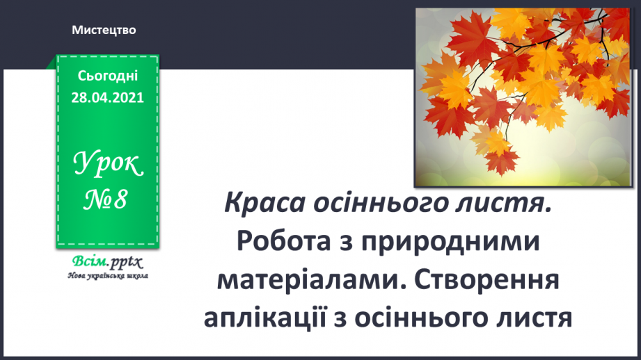 №08 - Краса осіннього листя. Робота з природними матеріалами. Створення аплікації з осіннього листя (робота в групах).0