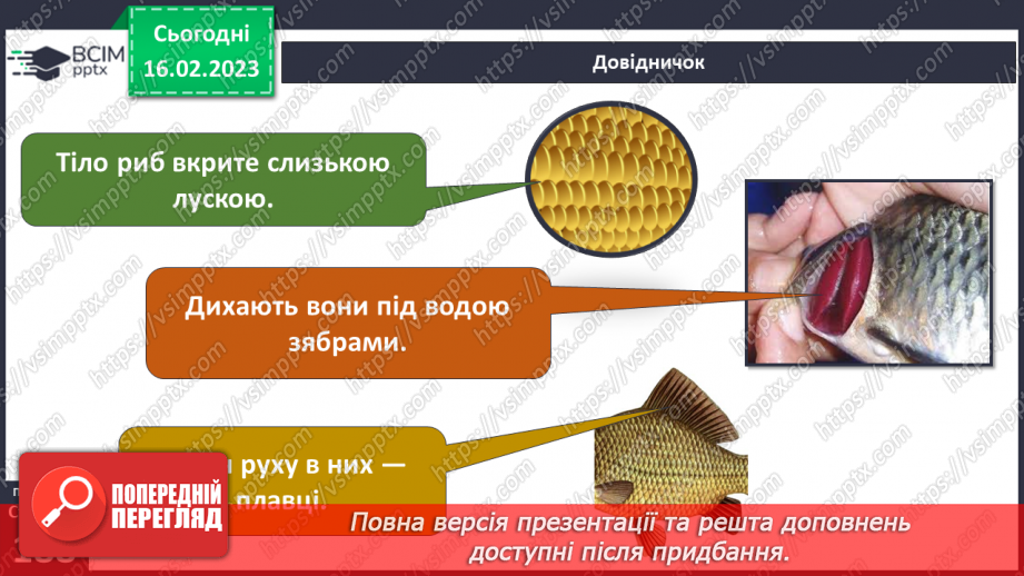 №48 - Хребетні тварини. Будова та спосіб життя хребетних тварин. Практична робота.4