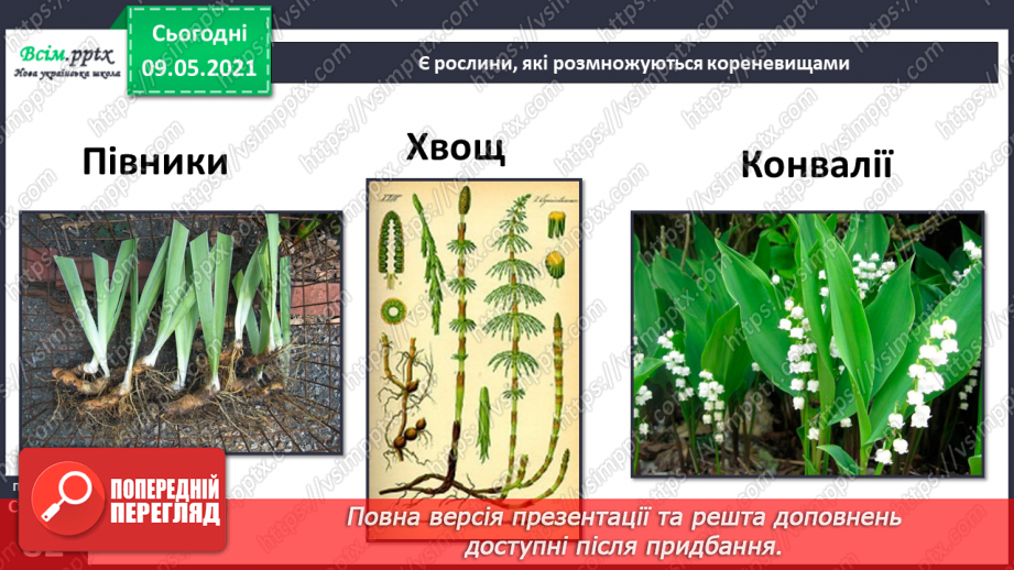 №054 - Як розмножуються рослини?31 №054 - Як розмножуються рослини?31