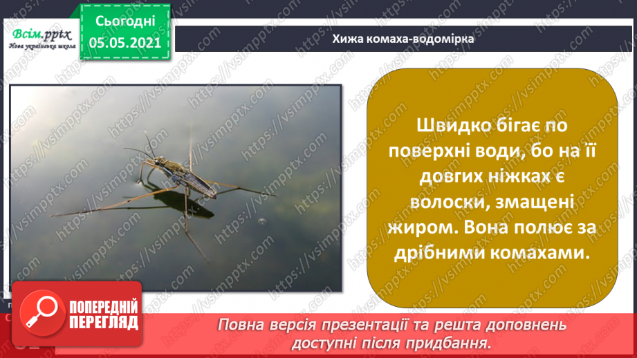 №052 - Природне угруповання — прісна водойма.17