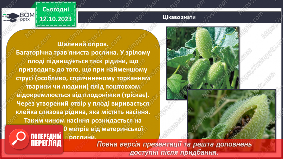 №022 - Плоди і насіння рослин16 №022 - Плоди і насіння рослин16