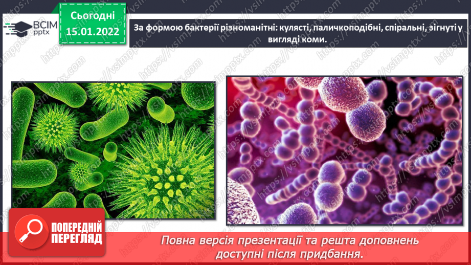 №19 - Створення власної «бактеріальної гри» .10