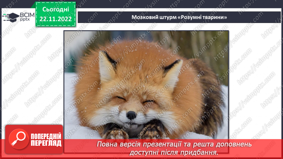 №045 - Найрозумніші тварини.6