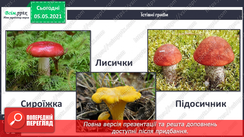 №038 - Їстівні й отруйні гриби6 №038 - Їстівні й отруйні гриби6