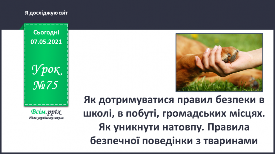 №075 - Як дотримуватися правил безпеки в школі, в побуті, громадських місцях. Як уникнути натовпу. Правила безпечної поведінки з тваринами0