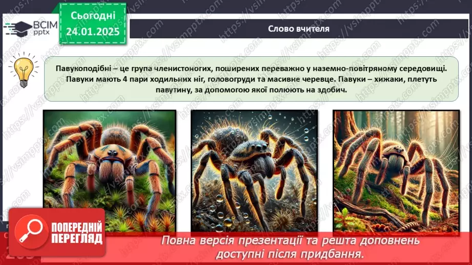 №58 - Павукоподібні.22
