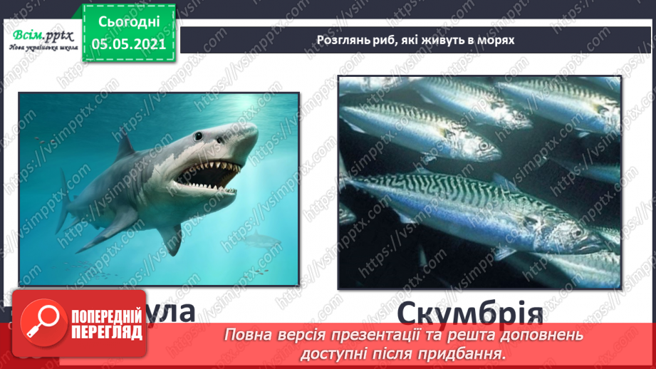 №053-54 - Природне угруповання—море. Подорож- спостереження «Природне угруповання нашої місцевості»18 №053-54 - Природне угруповання—море. Подорож- спостереження «Природне угруповання нашої місцевості»18