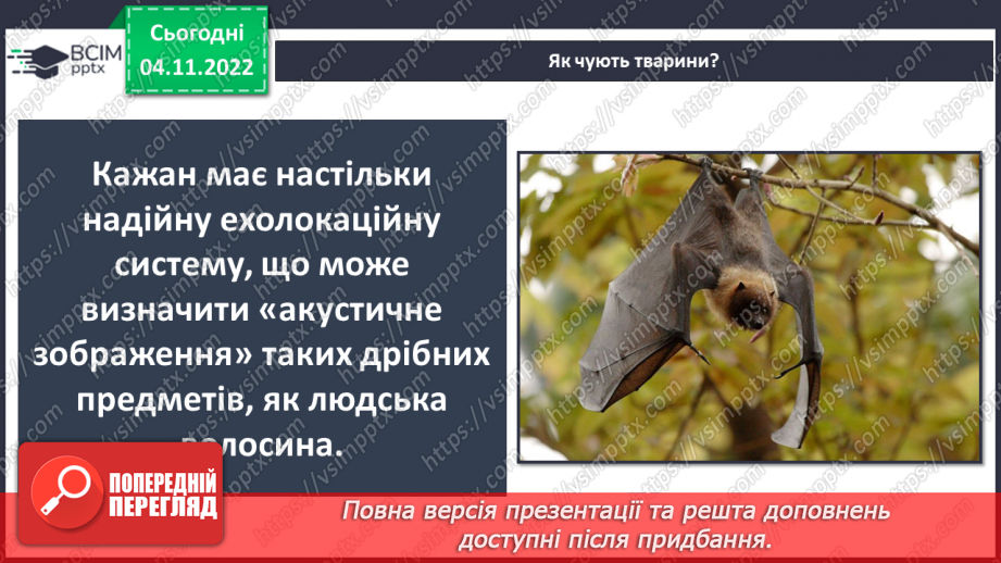 №23 - Чим важливі звукові явища у природі та житті людини. Виникнення звуку та його поширення на відстані.14 №23 - Чим важливі звукові явища у природі та житті людини. Виникнення звуку та його поширення на відстані.14