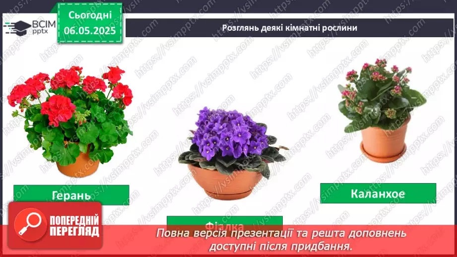 №101-102 - Догляд за кімнатними рослинами. Пересаджування квітів5