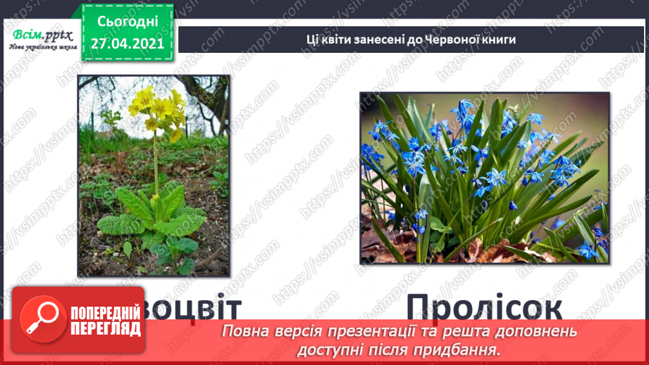 №075 - Як почуваються рослини навесні?8 №075 - Як почуваються рослини навесні?8