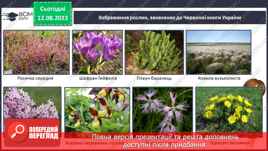 №40 - Розмаїття тваринного і рослинного світу. Червона книга України.21 №40 - Розмаїття тваринного і рослинного світу. Червона книга України.21