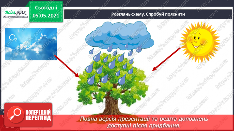 №034 - Середовище існування рослини9