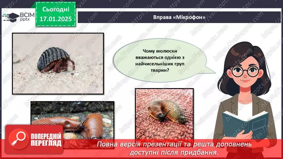 №53 - Молюски (продовження).2 №53 - Молюски (продовження).2