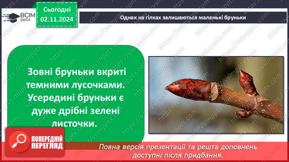 №0032 - Як рослини готуються до зими13 №0032 - Як рослини готуються до зими13