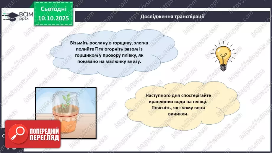 №023 - Покритонасінні рослини: будова бруньки, пагона й листка (продовження).18 №023 - Покритонасінні рослини: будова бруньки, пагона й листка (продовження).18