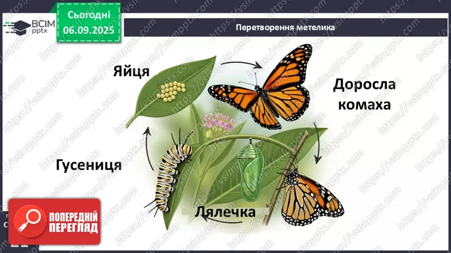 №0008 - Як змінюються істоти впродовж життя?7 №0008 - Як змінюються істоти впродовж життя?7