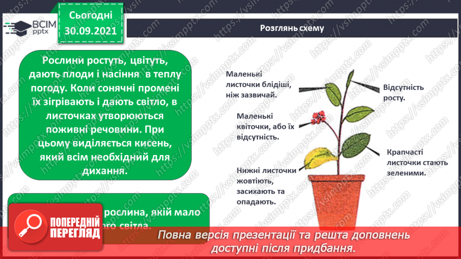 №020 - Сонце — джерело світла і тепла на Землі10