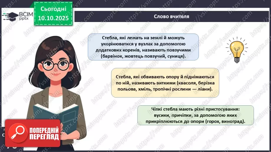 №022 - Покритонасінні рослини: будова бруньки, пагона й листка.14 №022 - Покритонасінні рослини: будова бруньки, пагона й листка.14