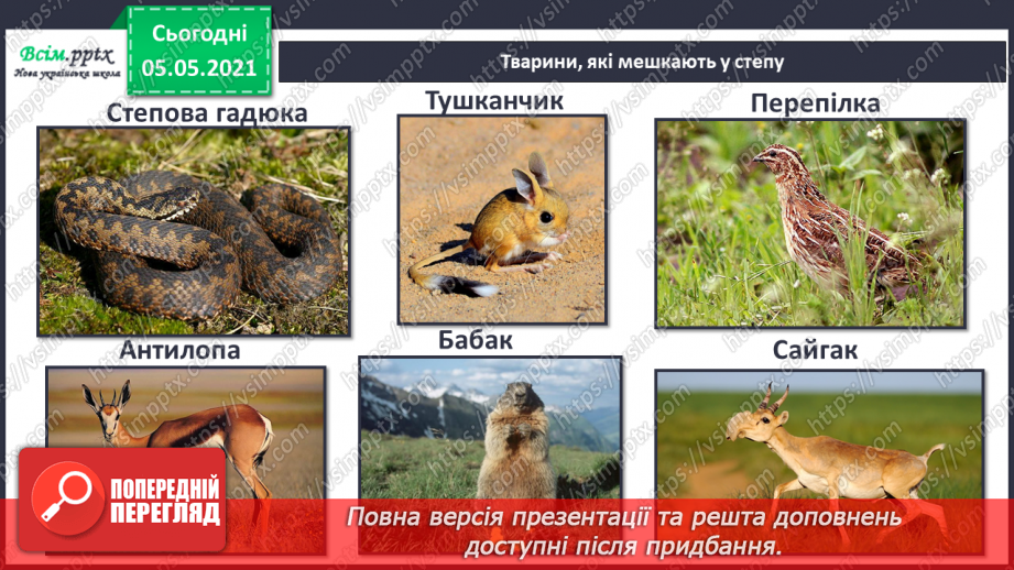 №039 - Звірі.10 №039 - Звірі.10