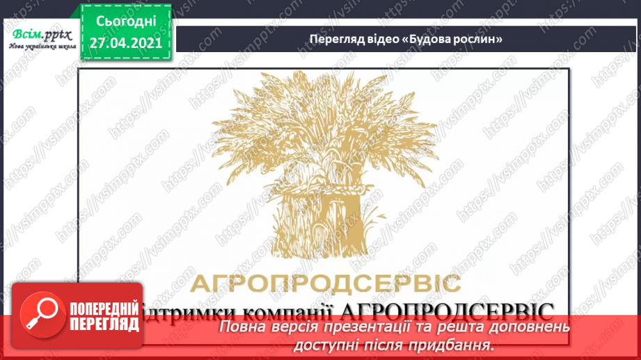 №011 - 012 - Якими бувають рослини? Як розрізняють рослини? Проводимо дослідження. Які умови потрібні рослинам для життя?26