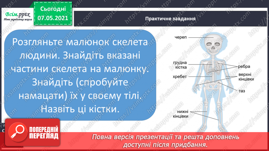 №052 - Що утворює опорно-рухову систему8 №052 - Що утворює опорно-рухову систему8