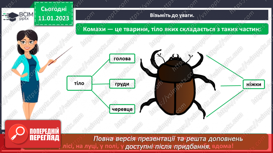 №0055 - Комахи5 №0055 - Комахи5