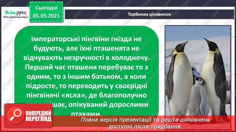 №045 - Різноманітність тварин у природі. Птахи19