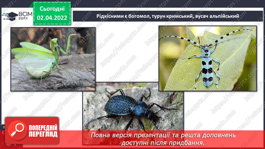 №083 - Кримські гори.19