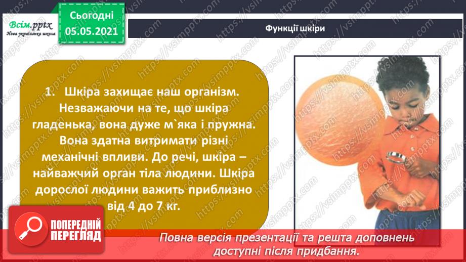 №054 - Функції шкіри.12 №054 - Функції шкіри.12