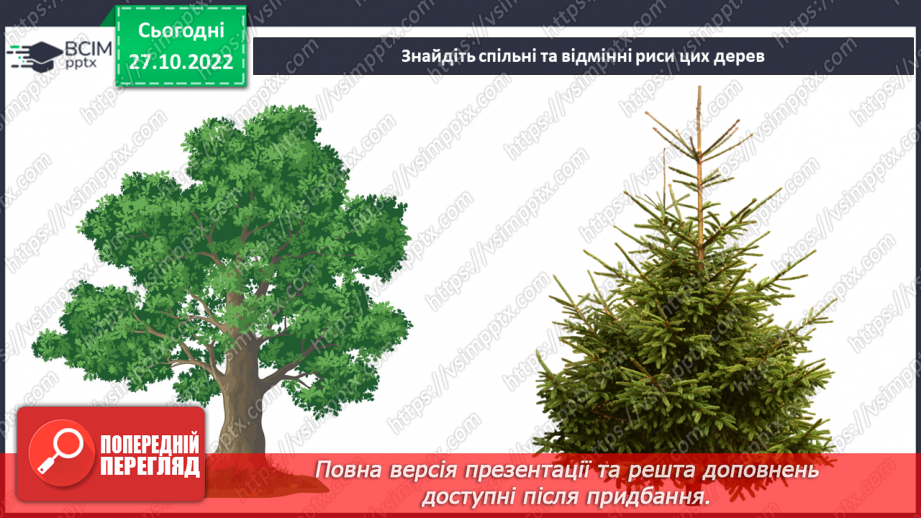 №031 - Класифікація рослин.6 №031 - Класифікація рослин.6