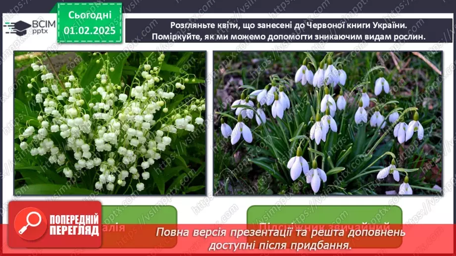 №021 - Світ рослин у мистецтві7 №021 - Світ рослин у мистецтві7