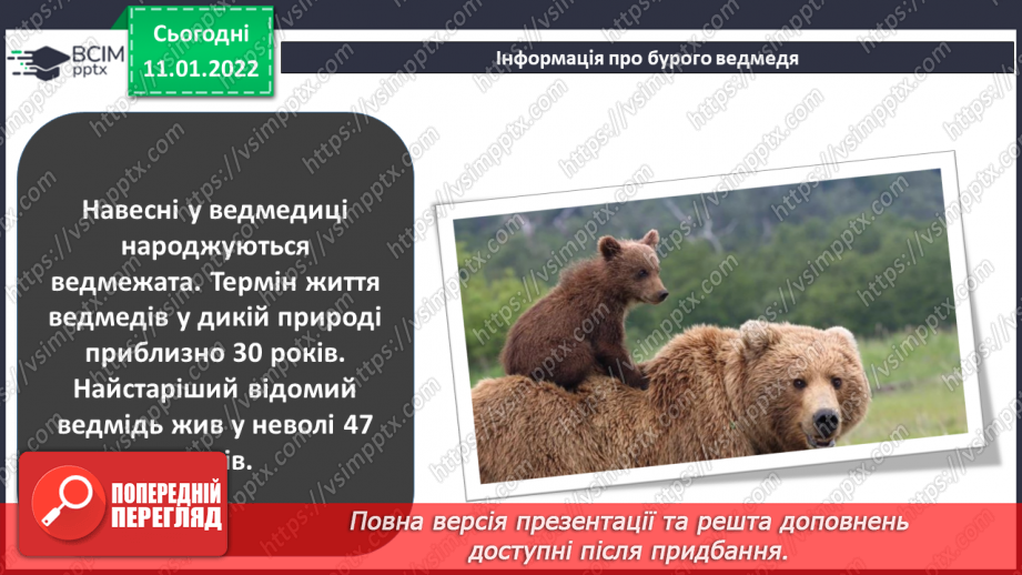 №18-19 - Інструктаж з БЖ.Проєкт «М’яка іграшка ведмедик».8
