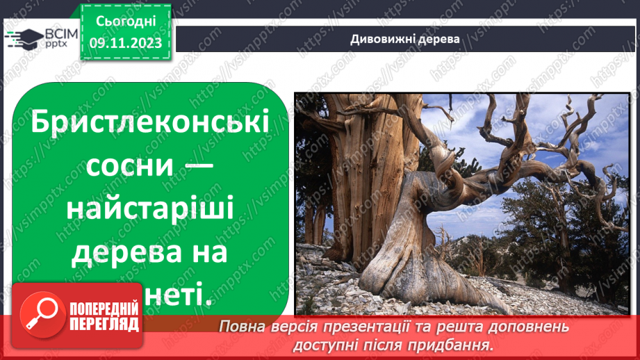 №034 - Рослини. Світ природи розмаїтий…12 №034 - Рослини. Світ природи розмаїтий…12