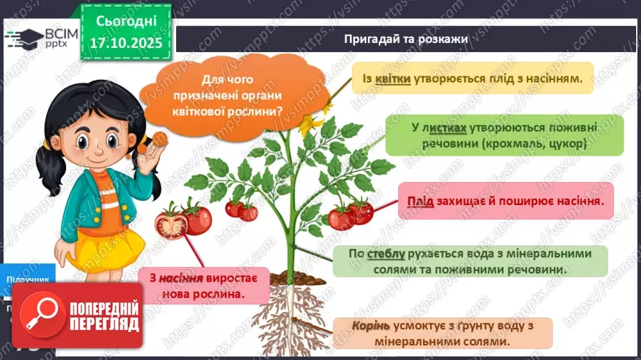 №026 - Досліджуємо як поширюються плоди та насіння в природі.6 №026 - Досліджуємо як поширюються плоди та насіння в природі.6