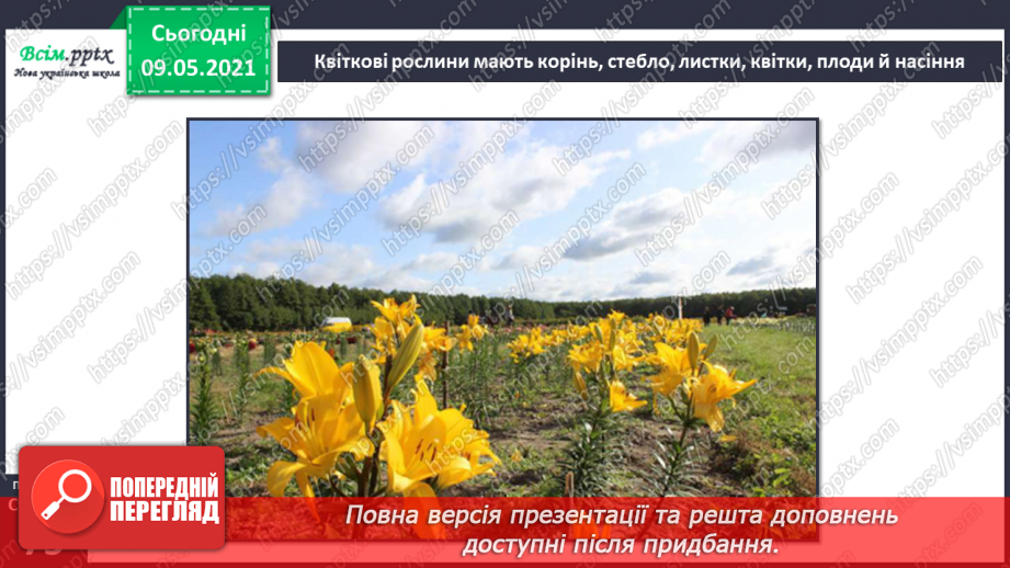 №049 - Чим особливий різноманітний світ рослин?23 №049 - Чим особливий різноманітний світ рослин?23