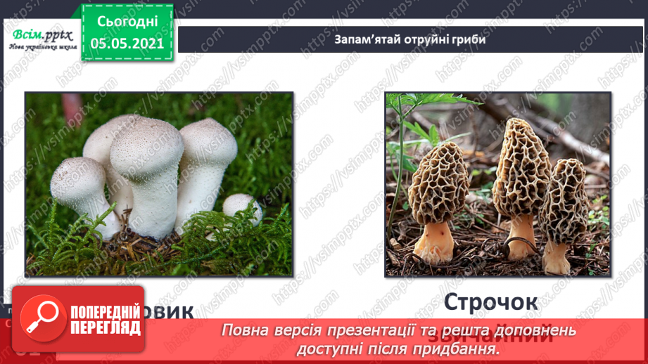 №038 - Їстівні й отруйні гриби13 №038 - Їстівні й отруйні гриби13