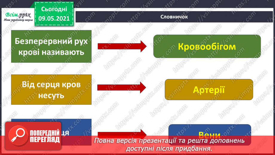 №091 - Навіщо людині кровообіг?11