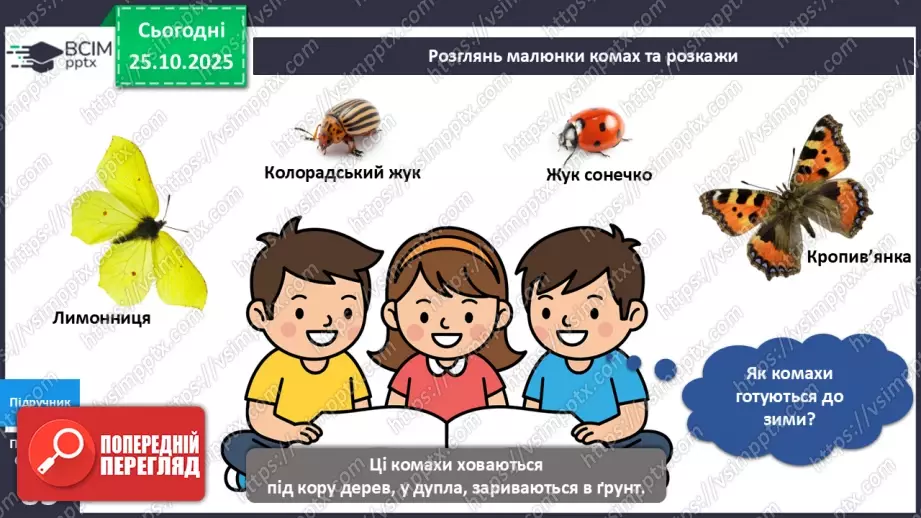 №028 - Комахи восени.8 №028 - Комахи восени.8