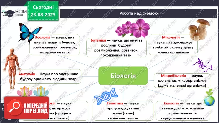 №003 - Біологія як наука. Основні властивості живого.7 №003 - Біологія як наука. Основні властивості живого.7