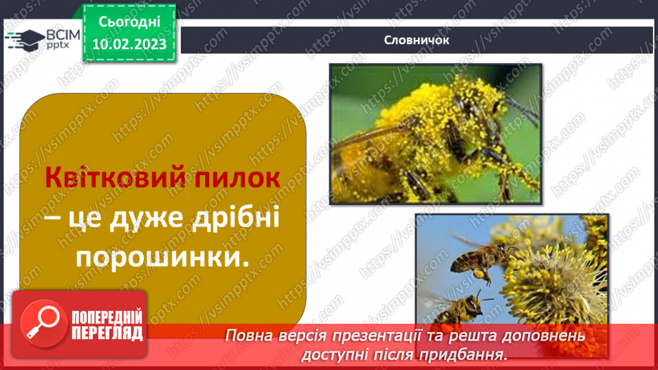 №45 - Пристосування до життя та різноманітність рослин. Секрети насінини.6