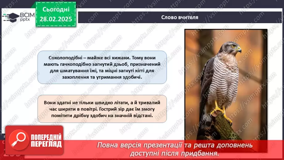 №65 - Різноманітність птахів.15