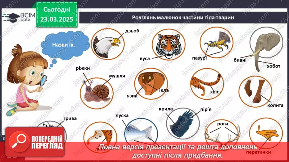 №083 - Частини тіла тварин. Хто великий?8 №083 - Частини тіла тварин. Хто великий?8