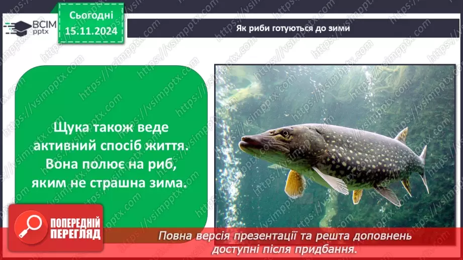 №0035 - Як риби готуються до зими7 №0035 - Як риби готуються до зими7