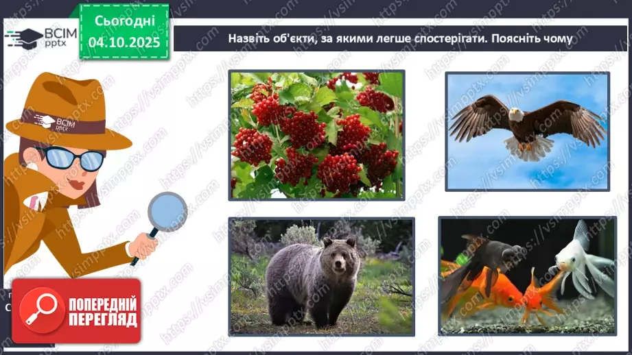 №0019 - Як провести спостереження.27 №0019 - Як провести спостереження.27