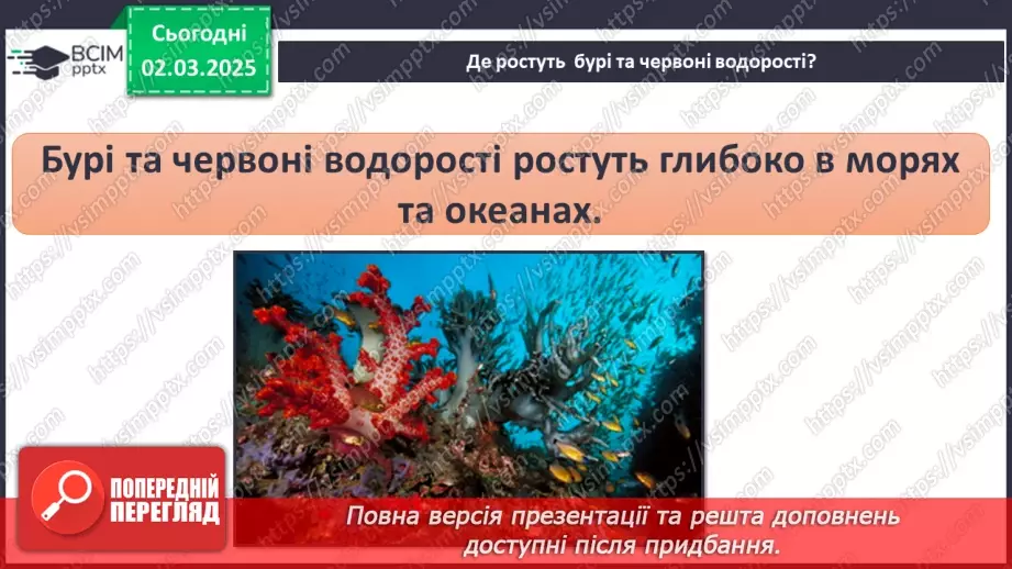 №074 - Різноманітність рослин. ст.59-6132